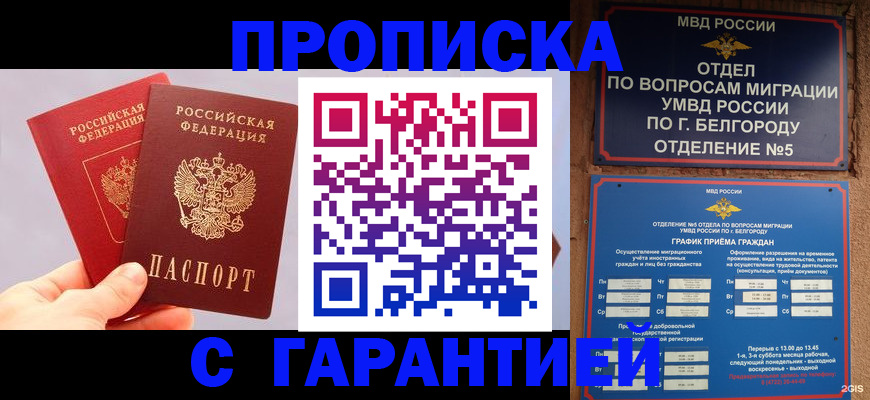прописка 2025 в Шахунье